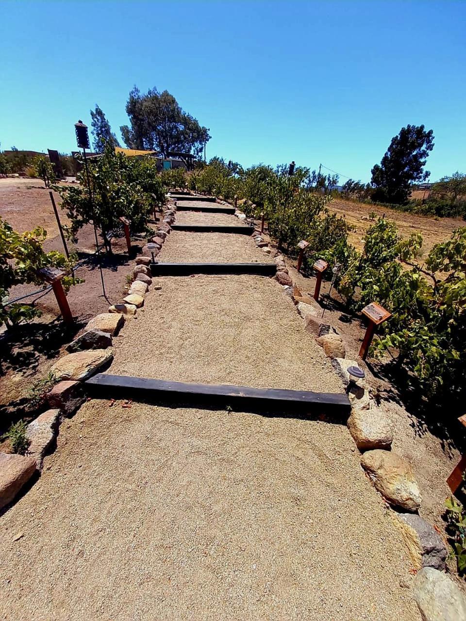 فالي دي جوادالوبي Finca Vidandrei Casa Eucalipto المظهر الخارجي الصورة