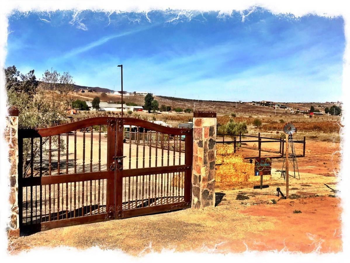 فالي دي جوادالوبي Finca Vidandrei Casa Eucalipto المظهر الخارجي الصورة