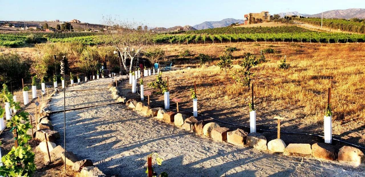 فالي دي جوادالوبي Finca Vidandrei Casa Eucalipto المظهر الخارجي الصورة